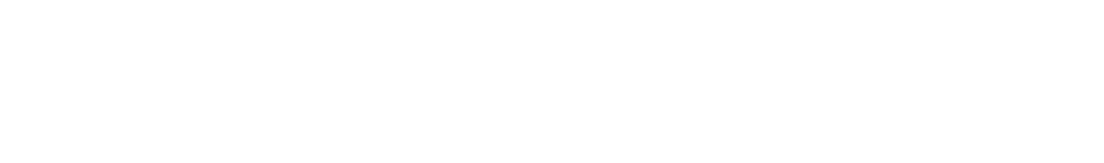Falcon Anchors logo in white